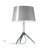 Lampe à bureau allumée Lumière XXL gris froid du designer Rodolfo Dordoni pour la marque Foscarini chez Valente Design
