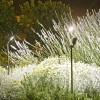 Spot Spiky sur piquet 100 cm mise en lumière de la marque Royal Botania - Valente Design