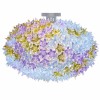 Plafonnier Bloom Ceiling lavande Kartell - Valente Design