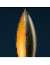 Lampadaire PostKrisi F 100 or Catellani and Smith détail - Valente Design