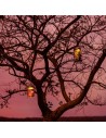Lampe solaire sans fil SONNENGLAS® Valente Design décor automne