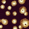 Suspension Gold Moon Chandelier feuilles côté or