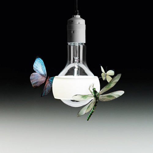 SUSPENSION JOHNNY B. BUTTERFLY