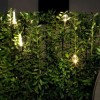 Luminaire sur piquet Syphasfera verre transparent Catellani and Smith Valente Design dans haie de jardin