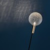 Luminaire sur piquet Syphasfera verre irrégulier Catellani and Smith Valente Design
