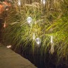 Luminaire sur piquet Syphasfera verre transparent Catellani and Smith Valente Design composition