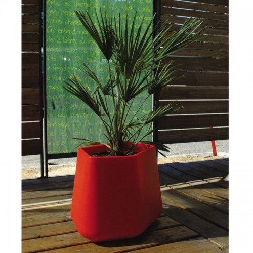 Apportez de l\'originalité à votre espace vert avec les pots Rock Garden small de la marque Qui Est Paul? Chez Valente Design