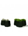 Qui est Paul?, marque présente chez Valente Design, propose les pots de fleurs taille small de la collection Rock Garden