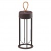 Lampe à poser In Vitro Unplugged marron Flos Starck Valente Design