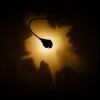 Applique Luce che dipinge Catellani and Smith Valente Design