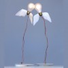 2 lampes de table Lucellino Table Ingo Maurer - Valente Design