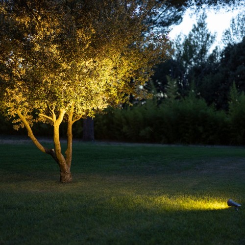 Spot solaire les Jardins - Valente Design - éclairage chêne