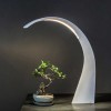 Lampe de table Taj blanc Kartell - Valente Design - éclairée avec bonzai