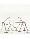 Ensemble des différentes variantes de la lampe de bureau ALEDIN  DEC  - Valente Design