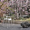 Chaise MASTERS blanc Kartell - Valente Design - mise en scène extérieure sur terrasse