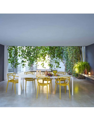 Chaise MASTERS moutarde Kartell - Valente Design - mise en scène
