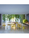 Chaise MASTERS moutarde Kartell - Valente Design - mise en scène