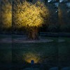 Spot solaire les Jardins - Valente Design - éclairage olivier - détails