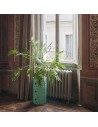 Meuble Componibili Bio 3 Portes vert Kartell - Valente Design - dans entrée
