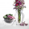 Centre de table U SHINE et vase I Shine cristal Kartell - Valente Design