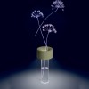 Lampe sans fil Fleur vert sauge Foscarini - Valente Design - éclairée