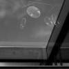 Suspension FOCUS x4 blanc DCW Editions - Valente Design - vue de dessous
