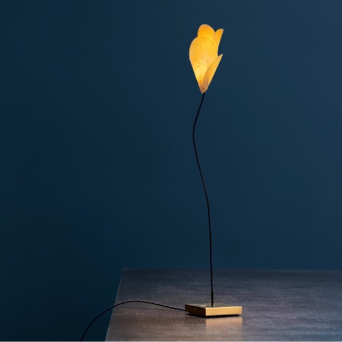 Lampe de table For You