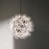 Suspension Taraxacum 88 S1 flos