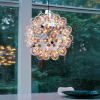 Suspension Taraxacum 88 S1 flos