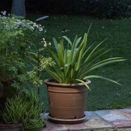 Sport sur piquet Birdie Outdoor Small 70S Straight entre plusieurs plantes en pot - Bover