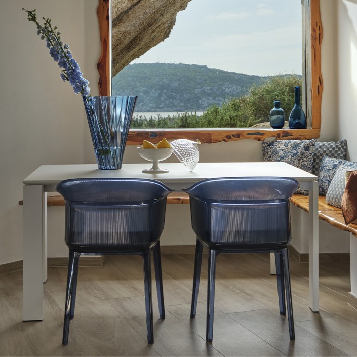 Fauteuil Papyrus (lot de 2)
