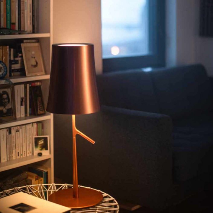 Diffuseur Birdie Piccola- Foscarini - cuivre