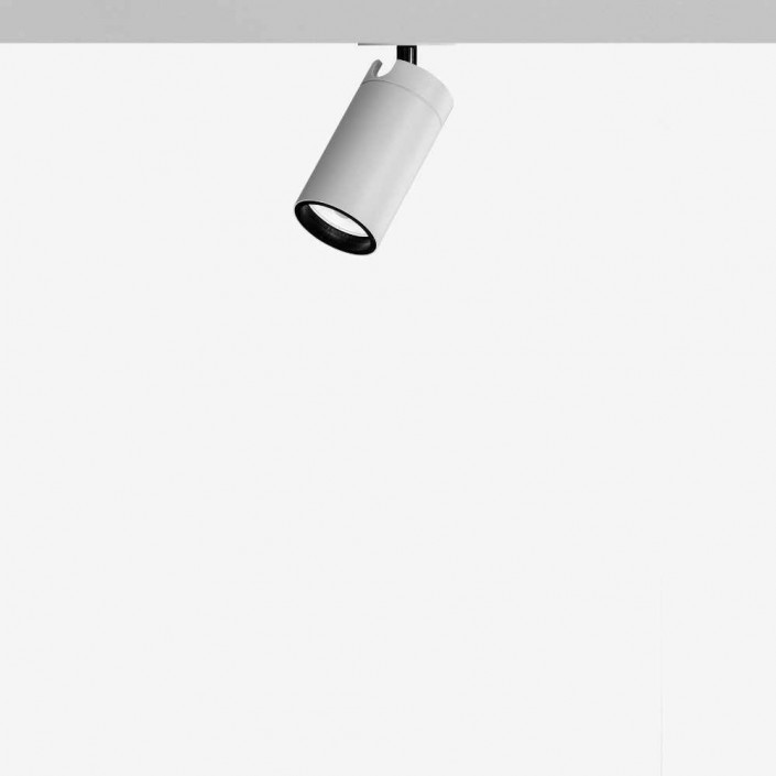 Plafonnier Dot R - Davide groppi - finition blanc mat