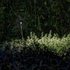 Spot sur piquet Grillo - Davide groppi - noir mat
