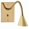 Liseuse Tulipe Cone Biseauté Coude 0° LAITON POLI VERNI  MELJAC liseuse  mesure 115x80 mm pour une épaisseur 3mm