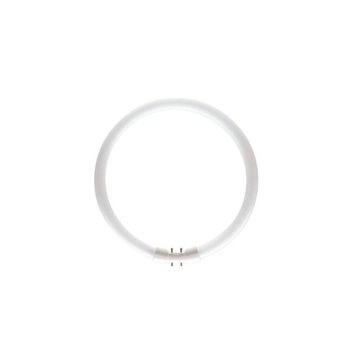 Ampoule circline 2Gx13 T5 22W fluorescente
