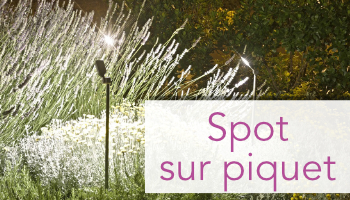 Spot sur piquet
