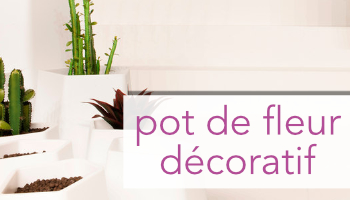 Pot de fleur décoratif